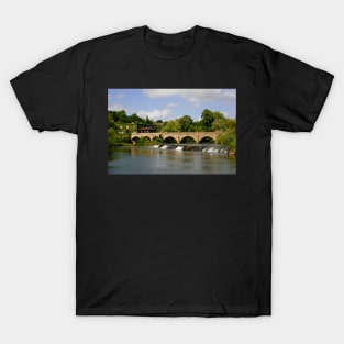 Bridge over the River T-Shirt